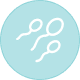 Male fertility icon