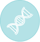DNA icon