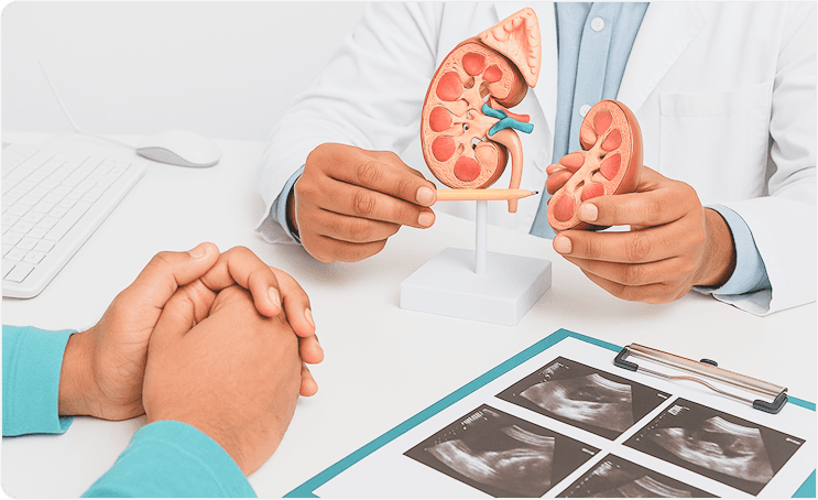 Urology Consultation